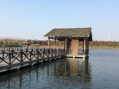 -溱湖国家湿地公园