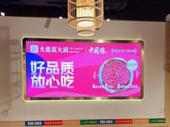 -大龙燚火锅(春熙店)
