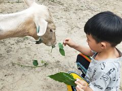-北京麋鹿生态实验中心