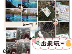 -杭州动物园