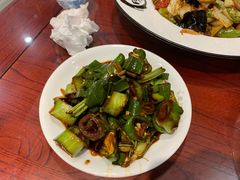 -邵年鸽(杨庄店)