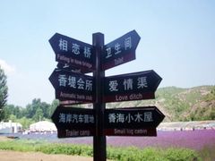 -紫海香堤香草艺术庄园