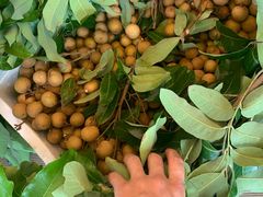 -海吉星国际农产品物流管理有限公司