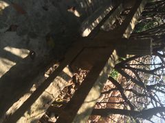 iphone_upload_pic-东澳岛