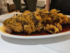 老济南糖醋鲤鱼-金春禧(世茂国际广场店)