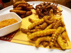虫多拼-老江南春·中国龙菜(衡山路店)