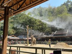 -野象谷景区