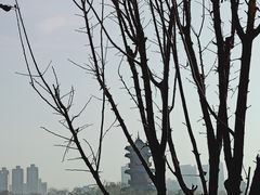 -迎泽公园
