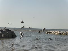 -老虎石海上公园