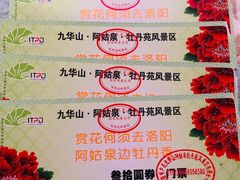 -盛世牡丹苑生态文化旅游区