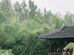 -水绘园
