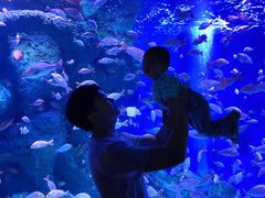 -成都浩海立方海洋公园