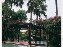 -天赐温泉
