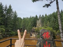 -茅兰沟国家森林公园