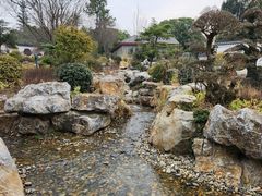 -东湖落雁景区