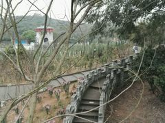 -松山湖梦幻百花洲
