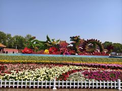 -北陵公园