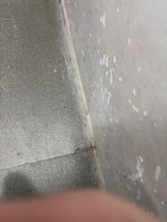 -依格宝IL COLPO明星店