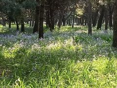 -北陵公园
