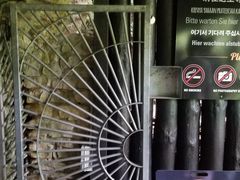 -怀托摩萤火虫洞