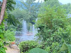 -燕塞湖鸟语林景区