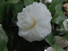 -阿育王寺