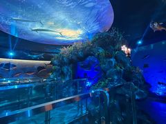 -陕西自然博物馆