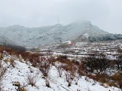 -密云玫瑰情园