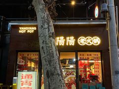 -阳阳老火锅(小南门店)
