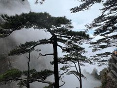 -黄山风景区