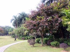 -南宁南湖公园