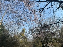 -武汉园博园(武汉自然博物馆)