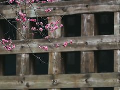 -成都杜甫草堂博物馆