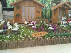 android_upload_pic-沈阳植物园