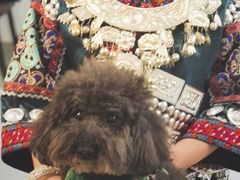 -唐咖精品咖啡(大理古城手冲店)