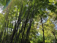 -成都杜甫草堂博物馆