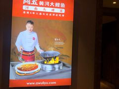 -阿五黄河大鲤鱼(英协路店)