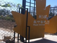 活动地点-乐融婴幼儿成长中心(四季青校区)
