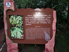 -赤水丹霞旅游区·佛光岩