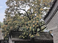 -窦大夫祠