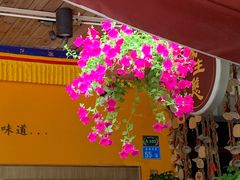 -缘生态云南菜·野生菌庭院餐厅(华侨城店)