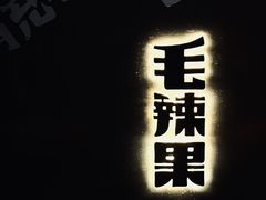 -毛辣果·酸
