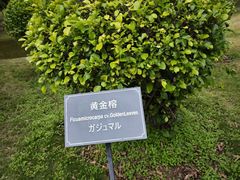 -厦门悦华酒店