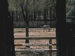 -鄂尔多斯野生动物园