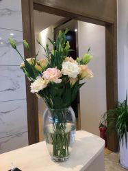 -北京米扬丽格医疗美容·联合丽格鼻整形中心