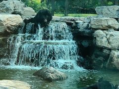 -北京野生动物园