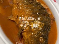 -阿五黄河大鲤鱼(纬三路店)