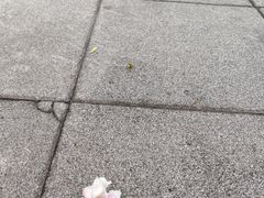 -漕溪路(地铁站)