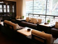 -十八棵（老龙井）御茶园(老龙井店)