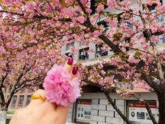 -西安建筑科技大学(草堂校区)